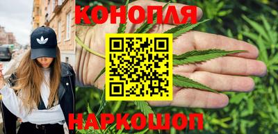 гашик Сланцы