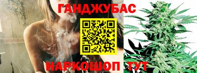 гашик Сланцы