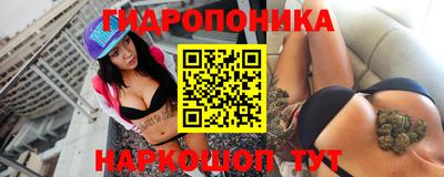 гашик Сланцы