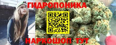 гашик Сланцы