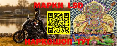 гашик Сланцы