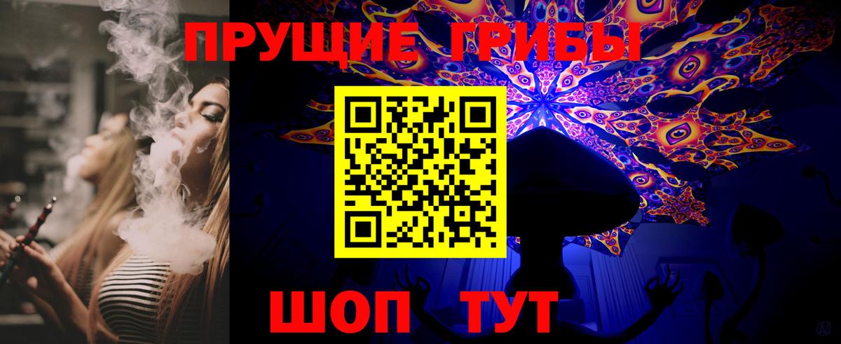 дарнет шоп  Вход с VPN  Назрань  Псилоцибиновые грибы Psilocybe 